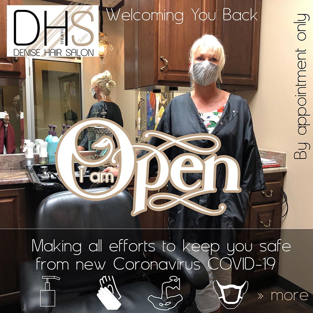 Denise Hair Salon Tampa Services
